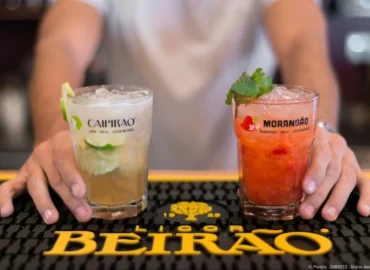 111 Gins die man getrunken haben muss – Das Buch kurz vorgestellt